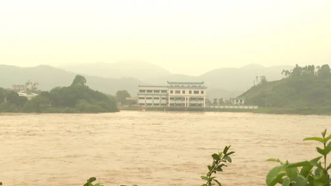 圖片來源：“四會發布”微信公眾號